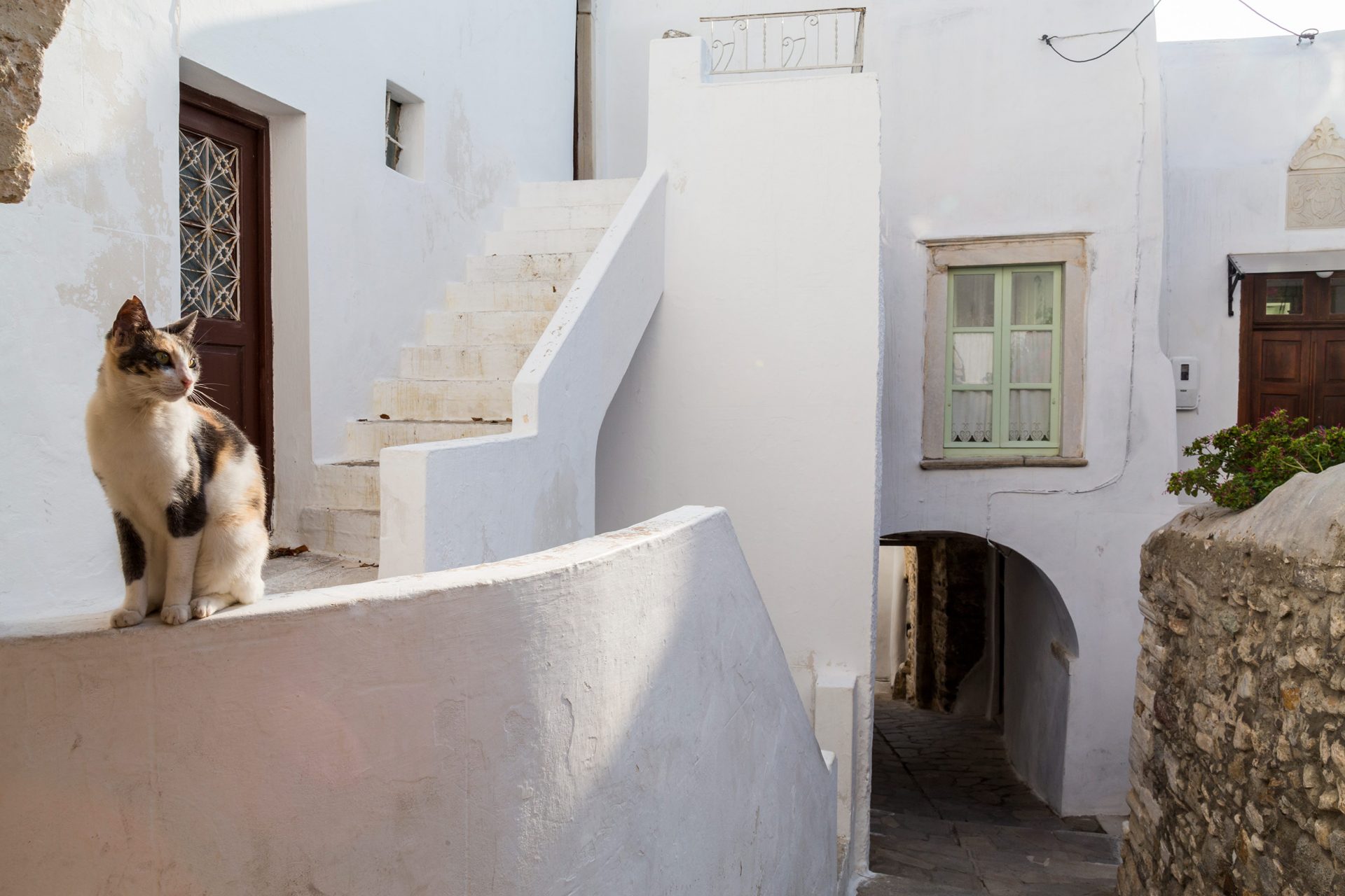 Rue dans les Cyclades