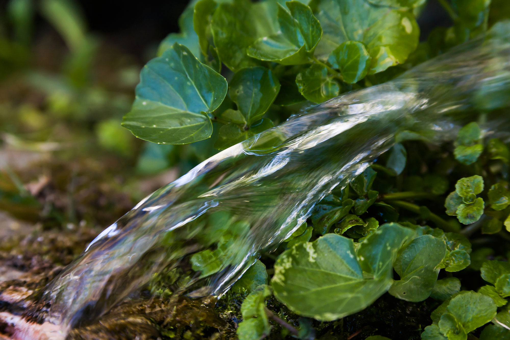 Génèse de l’eau