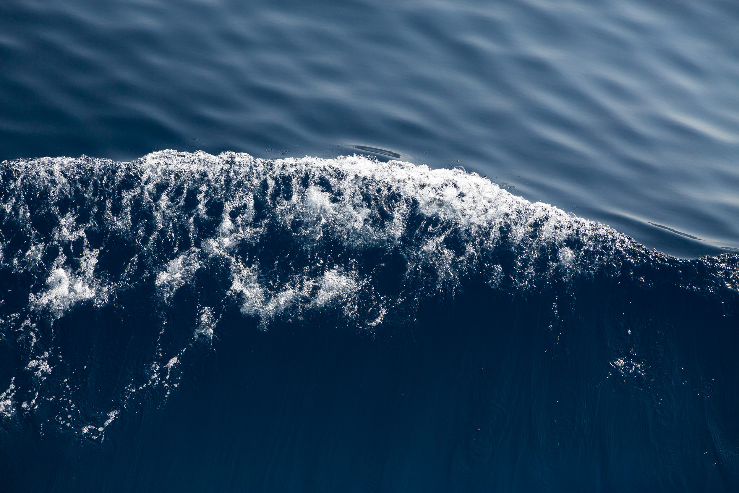 Portrait d'écume rapproché