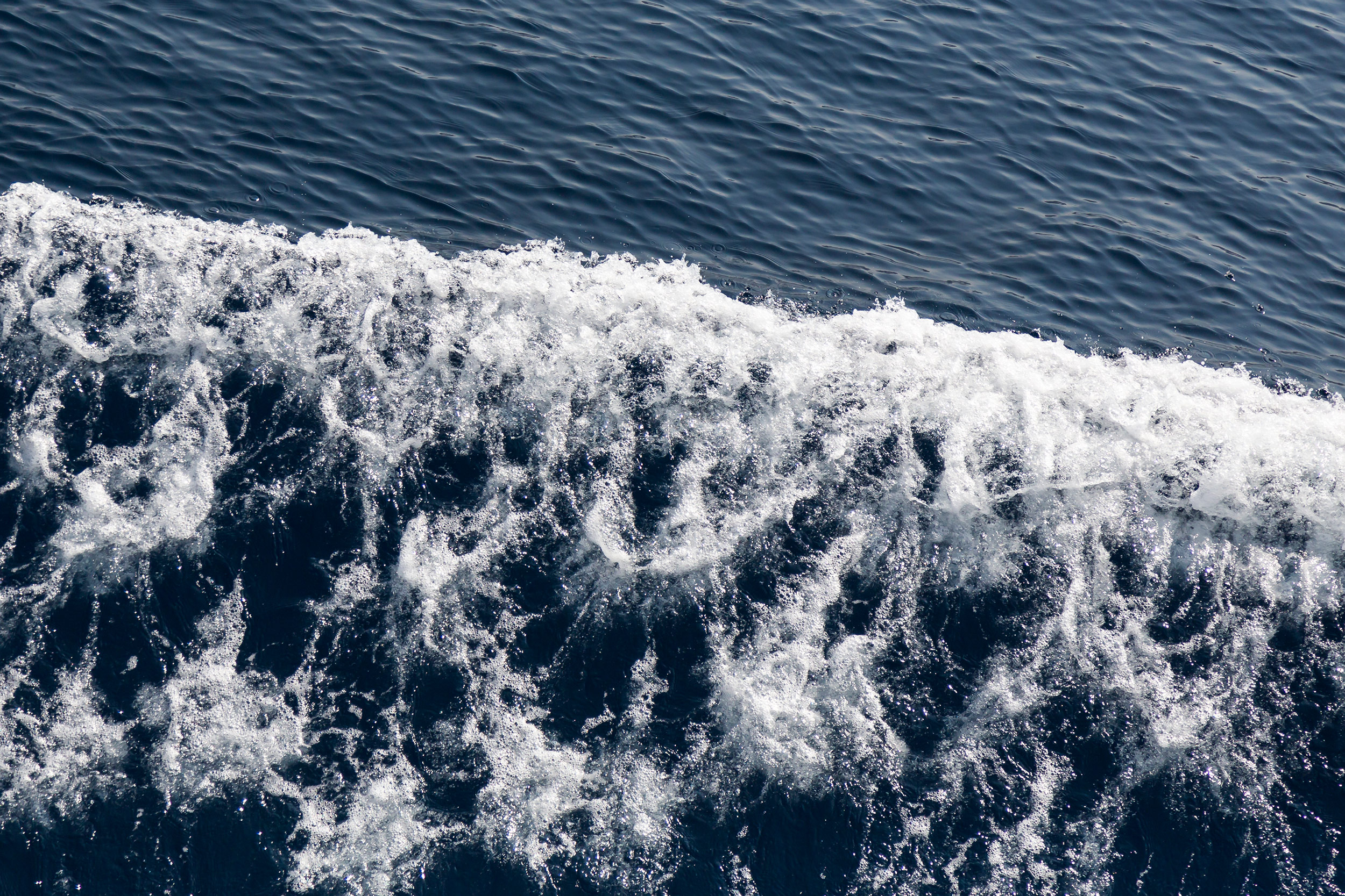 Portrait d'écume rapproché