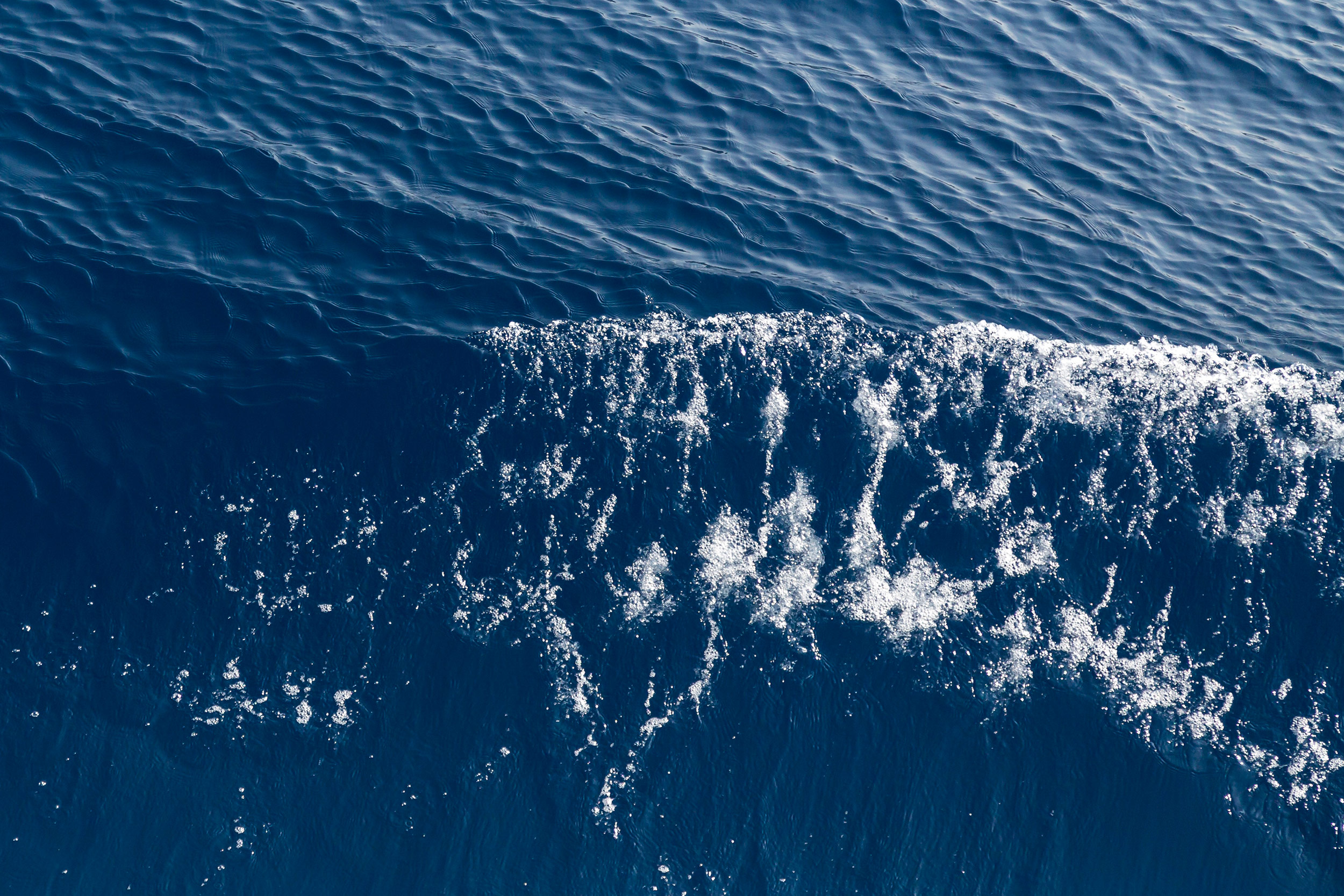 Portrait d'écume rapproché